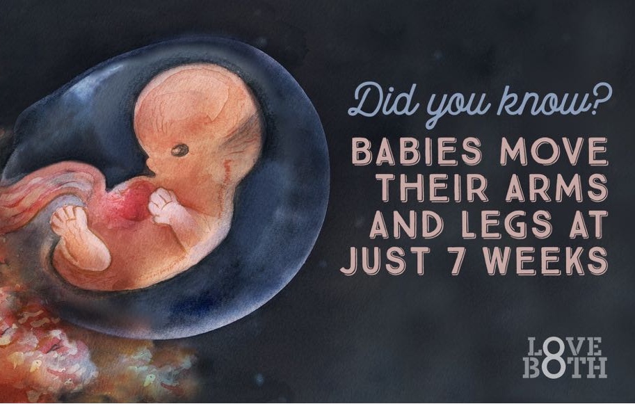 Babies at 7 weeks Abortion Love Both